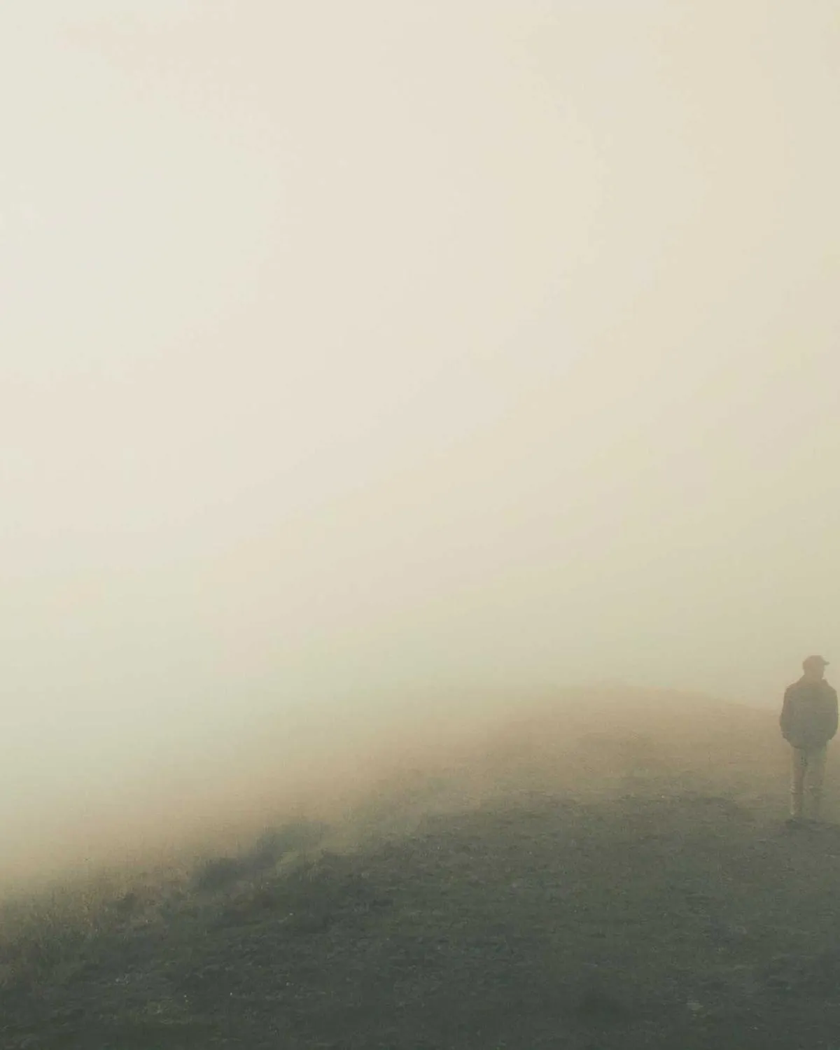 Personal Branding — image 6