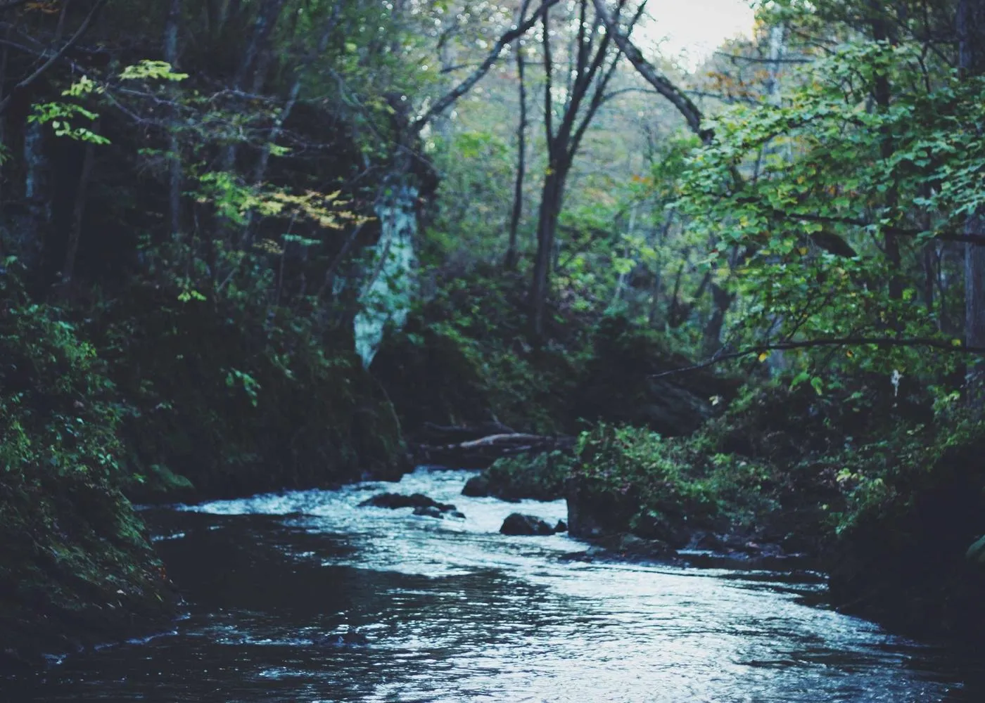 Couples — image 8